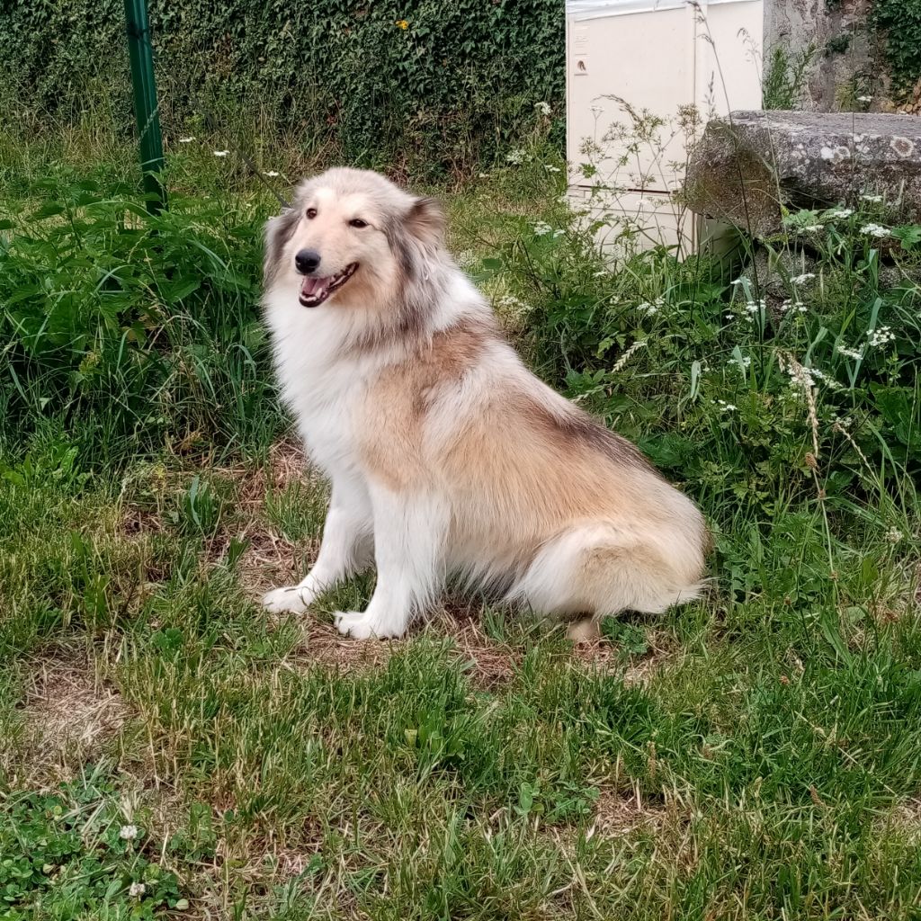 Tessa Des Berges d'Allier